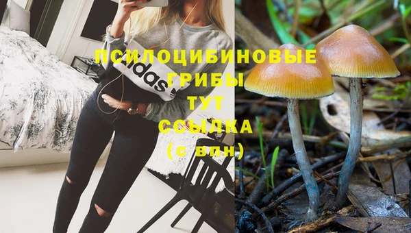 MESCALINE Лихославль