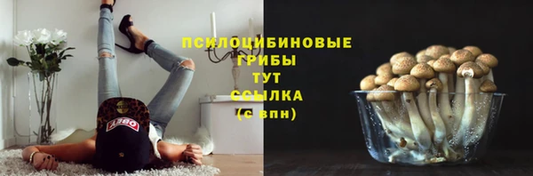 MESCALINE Лихославль
