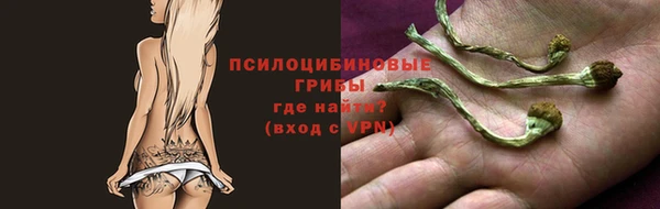 молекула духа Лиски