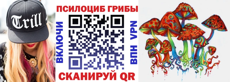Галлюциногенные грибы Psilocybine cubensis закладки Пионерский